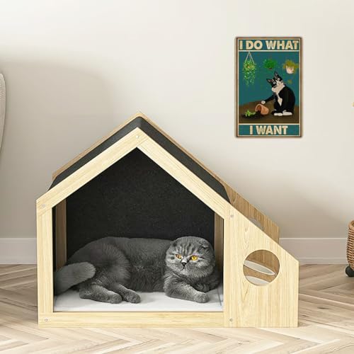 Bestylez Cute Cat Pictures Poster - Catio Accessories & Room Decor Gifts For Cat Lovers - 'I Do What I Want' Sign, 8 x 12 Inch - Image 2