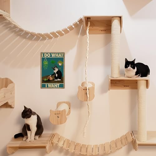 Bestylez Cute Cat Pictures Poster - Catio Accessories & Room Decor Gifts For Cat Lovers - 'I Do What I Want' Sign, 8 x 12 Inch - Image 3