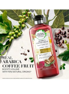 Herbal Essences Bio:Renew Volume Arabica Coffee Fruit Shampoo + Conditioner 400ml 400ml  - Image 3