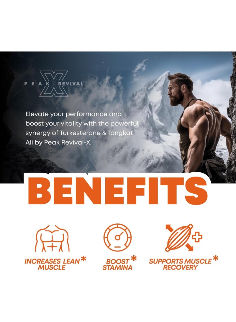 Peak Revival-X Turkesterone & Tongkat Ali 1000mg Supplement - 500mg Ajuga Turkestanica Per Serving Increase Stamina, Lean Muscle Growth & Recovery - Image 4