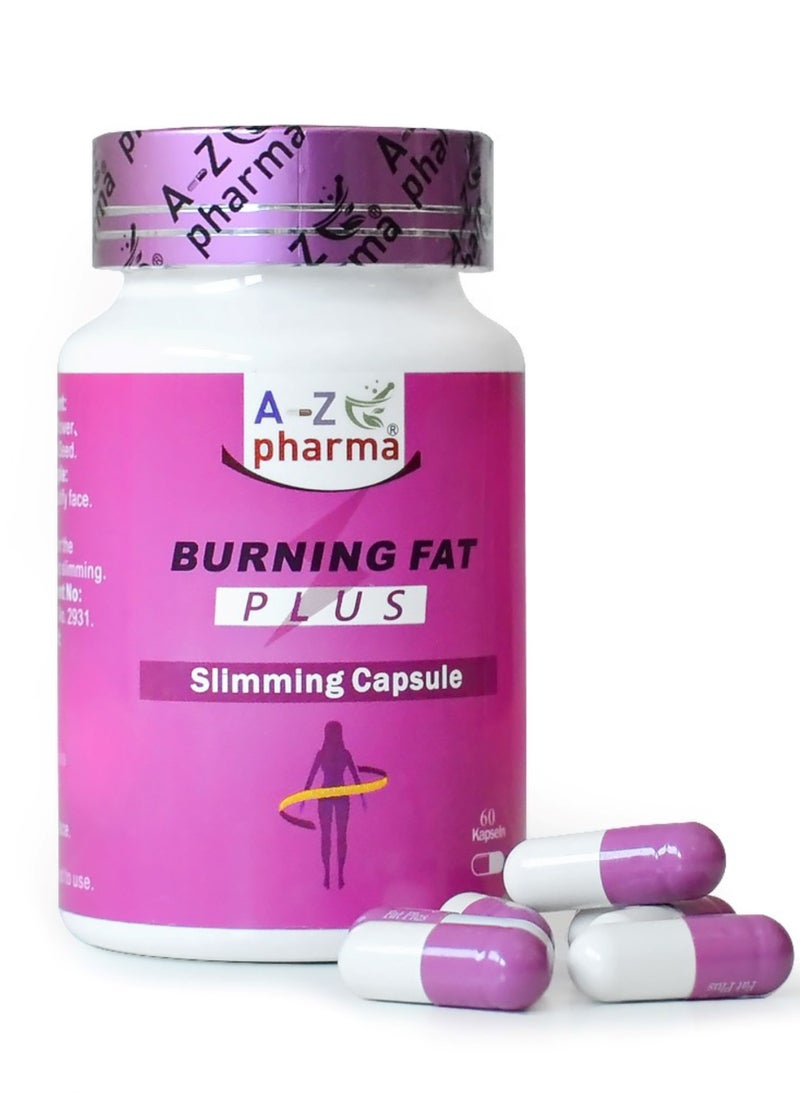 Burn Fat Plus Advanced 60 Capsules - pzsku/Z154FD460C3C347F7DD53Z/45/_/1726080535/636ebabc-8e54-4b89-8860-b8e0e182852e