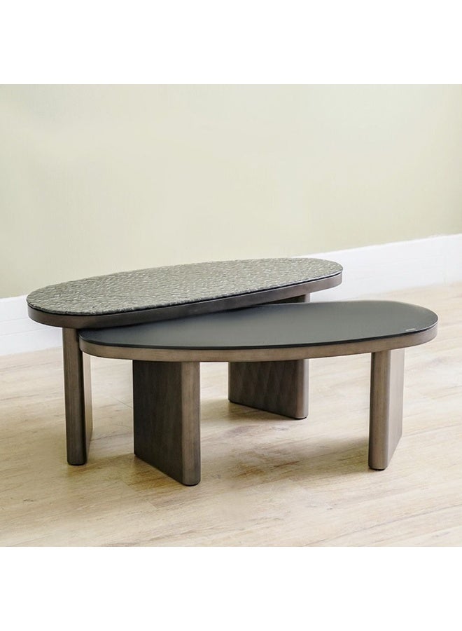DANUBE HOME Millo Set Of 2 Coffee Tables | Multifunctional Living Room Table | Space Saving Center Table | Modern Design Furniture For Living Room L100xW40xH40cm-Grey Metallic - Image 1