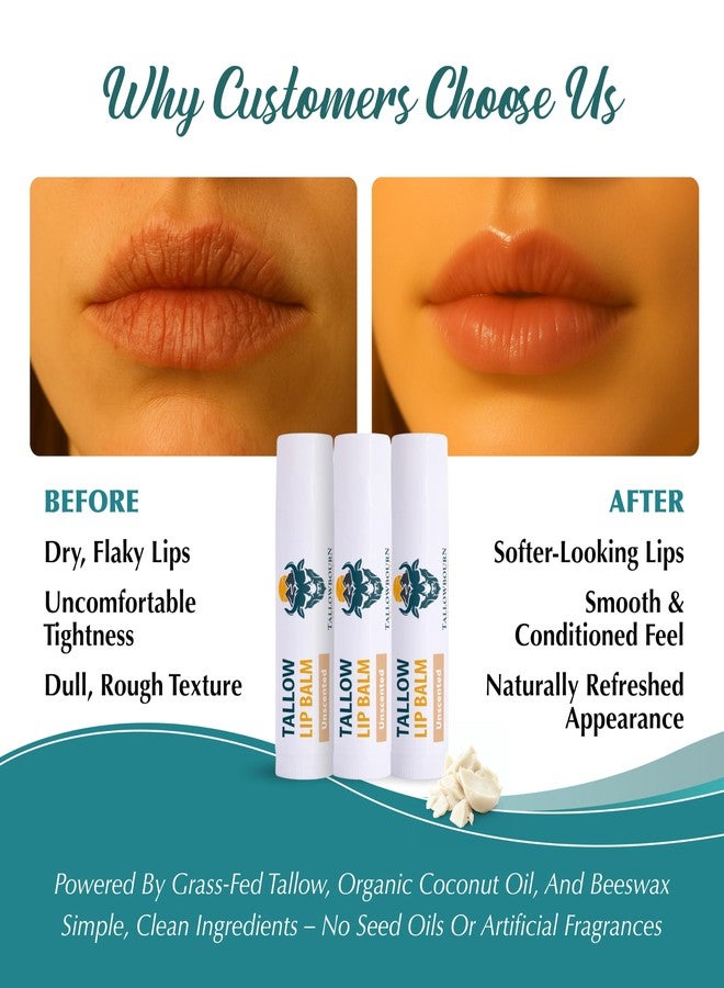 Tallowbourn Moisturizing Tallow Lip Balm – Grass-Fed Beef Tallow with Organic Coconut Oil, Beeswax, and Vitamin E – Unscented Lip Balm Set – Travel Essential - 3-Pack - Image 4