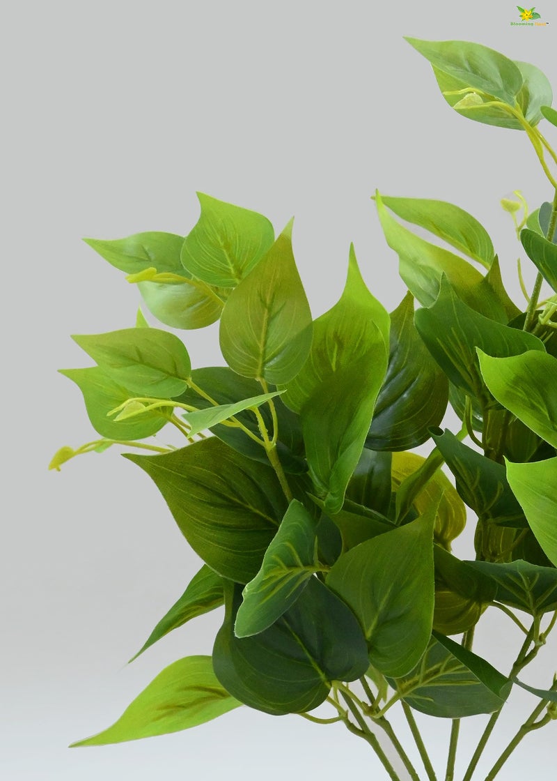 Blooming Floret Artificial Jade Pothos 48.3 cm Short for Interior Decor/Home Decor/Office Decor/Gifting | with Basic Black Pot | Ornamental Plant | Durable | Natural Looking - Image 2