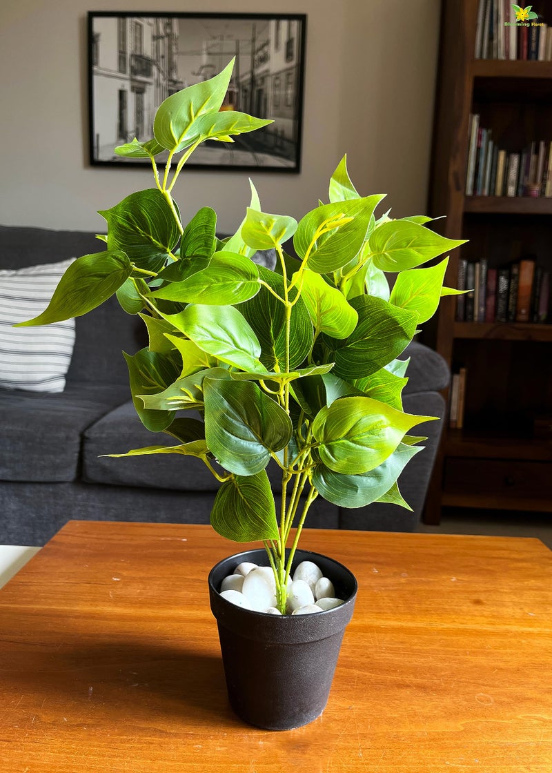 Blooming Floret Artificial Jade Pothos 48.3 cm Short for Interior Decor/Home Decor/Office Decor/Gifting | with Basic Black Pot | Ornamental Plant | Durable | Natural Looking - Image 1