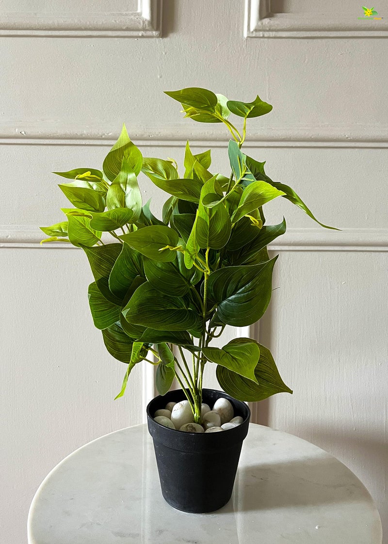 Blooming Floret Artificial Jade Pothos 48.3 cm Short for Interior Decor/Home Decor/Office Decor/Gifting | with Basic Black Pot | Ornamental Plant | Durable | Natural Looking - Image 5
