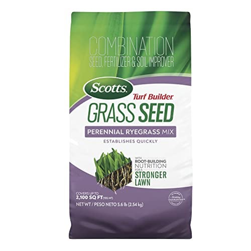 Scotts Turf Builder Grass Seed Perennial Ryegrass Mix with Fertilizer and Soil Improver, Establishes Quickly, 5.6 lbs. - Image 1