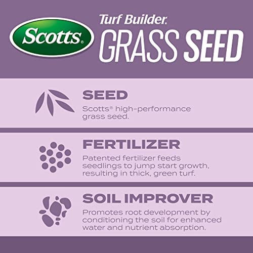 Scotts Turf Builder Grass Seed Perennial Ryegrass Mix with Fertilizer and Soil Improver, Establishes Quickly, 5.6 lbs. - Image 4