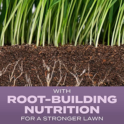 Scotts Turf Builder Grass Seed Perennial Ryegrass Mix with Fertilizer and Soil Improver, Establishes Quickly, 5.6 lbs. - Image 3