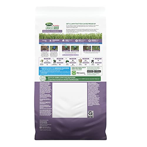 Scotts Turf Builder Grass Seed Perennial Ryegrass Mix with Fertilizer and Soil Improver, Establishes Quickly, 5.6 lbs. - Image 2