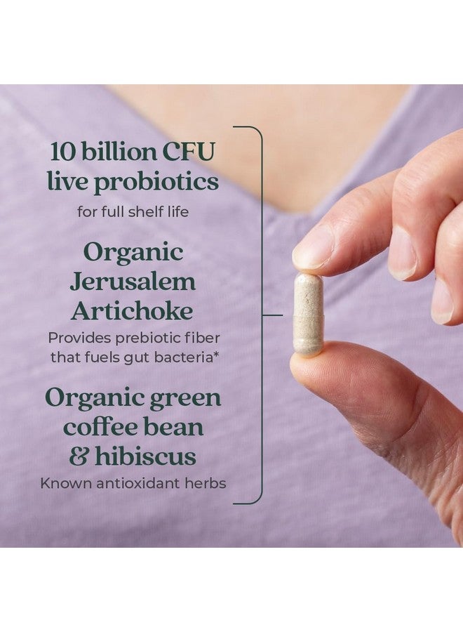 New Chapter فصل جديد يومي ثنائي البروبيوتيك + البريبايوتيك لصحة الهضم والميكروبيوم، 100% نباتي، خالي من الصويا، غير معدل وراثيًا، 60 حبة (إمداد لمدة شهرين) - Image 4