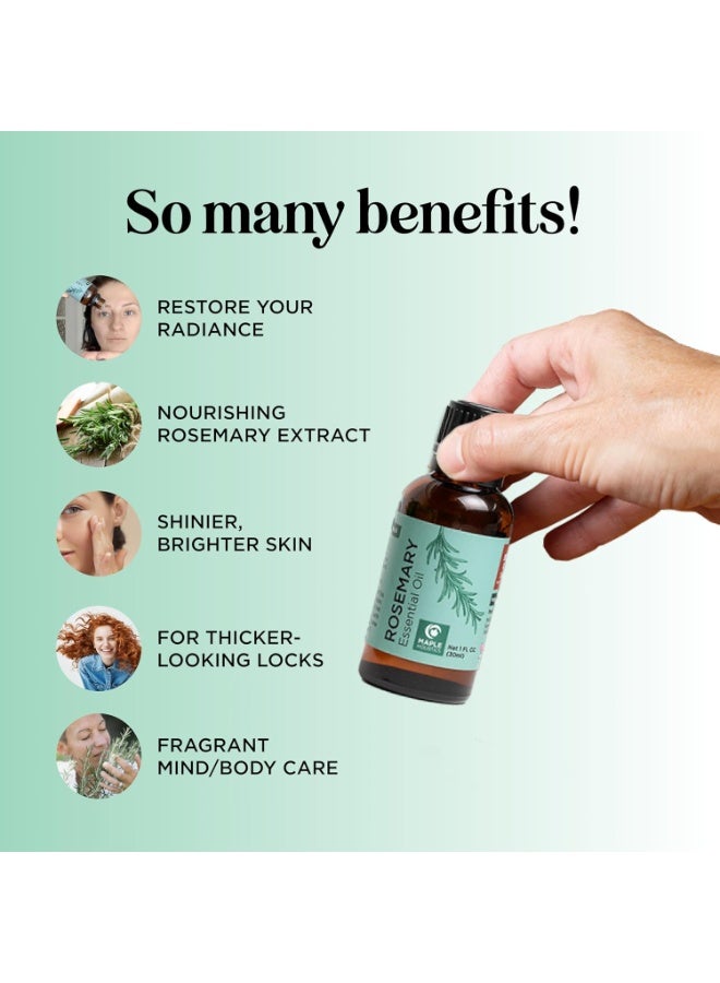Maple Holistics Pure Rosemary Oil for Hair Skin and Nails - 100% Pure Undiluted Rosemary Essential Oil with Dropper for Topical Uses Aromatherapy Diffusing and Home and Beauty DIYs - Vegan and Cruelty Free (1 Fl Oz) - Image 2