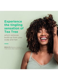 Soapbox Tea Tree with Shea Butter Conditioner, Volumizing, Vegan, Color Safe, Sulfate & Silicone Free Hair Conditioner w/Elderberry and Plum Oil - 16oz (Pack of 3) 