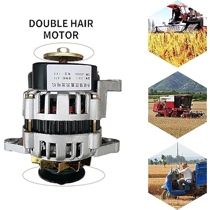 OLONETO 2000W 12V/24V Permanent Magnet DC Alternator, Pure Copper Core, Low Noise, Brushless, Double Heads For Single Cylinder Diesel Engines In Automobiles & Agricultural Vehicles(12V) - Image 2