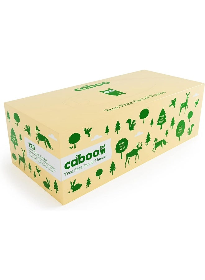 كابو علبة مناديل وجه من الخيزران خالية من الأشجار، مكونة من 3 طبقات، تحتوي على 120 ورقة - Image 2