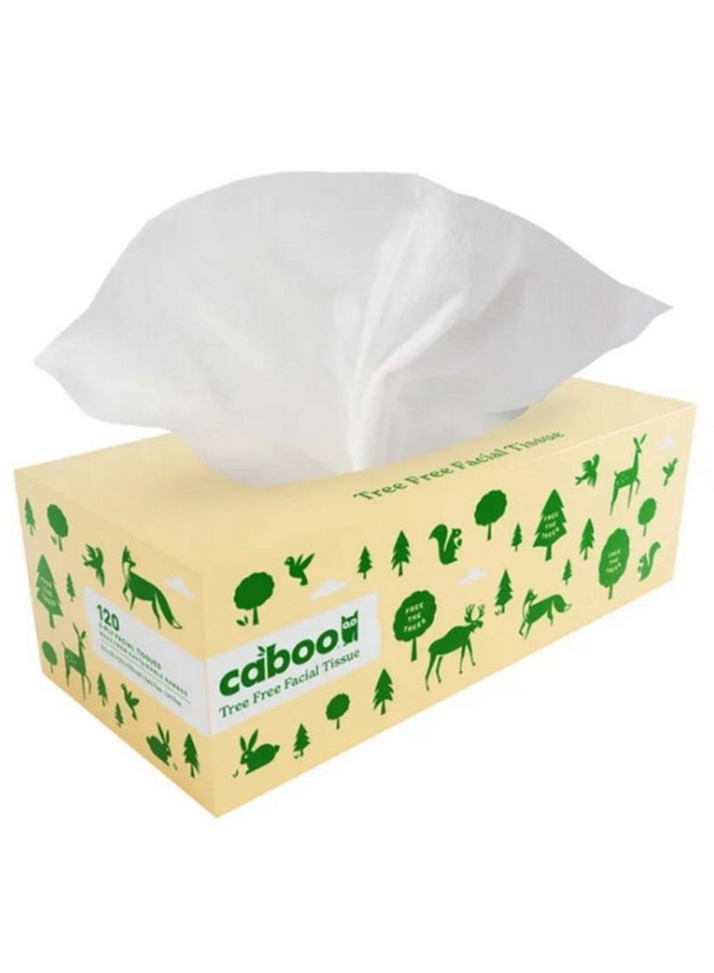 كابو علبة مناديل وجه من الخيزران خالية من الأشجار، مكونة من 3 طبقات، تحتوي على 120 ورقة - Image 1