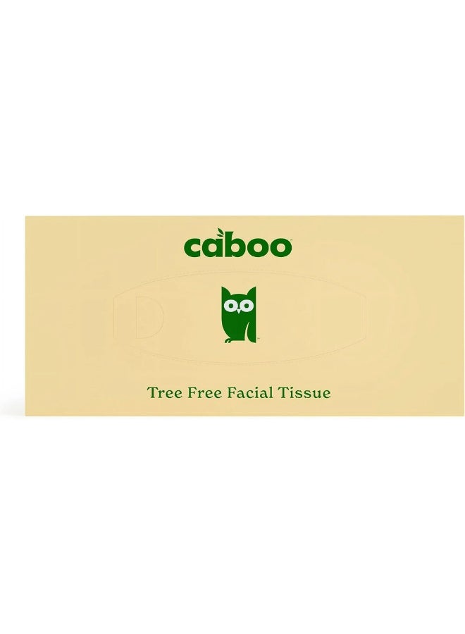كابو علبة مناديل وجه من الخيزران خالية من الأشجار، مكونة من 3 طبقات، تحتوي على 120 ورقة - Image 3