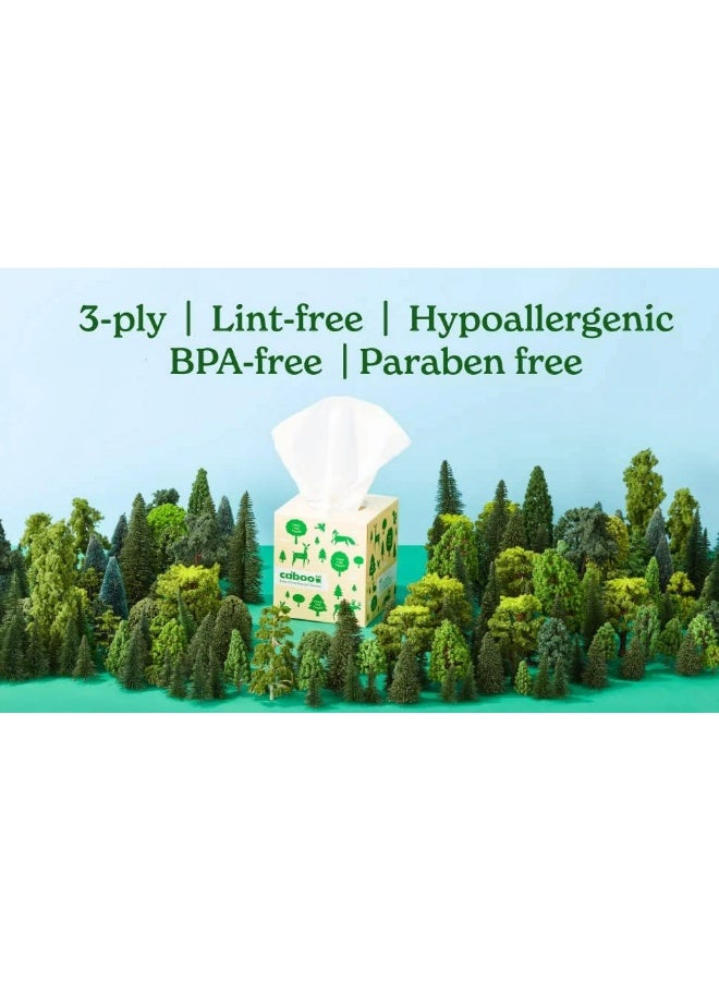 كابو علبة مناديل وجه من الخيزران خالية من الأشجار، مكونة من 3 طبقات، تحتوي على 120 ورقة - Image 5