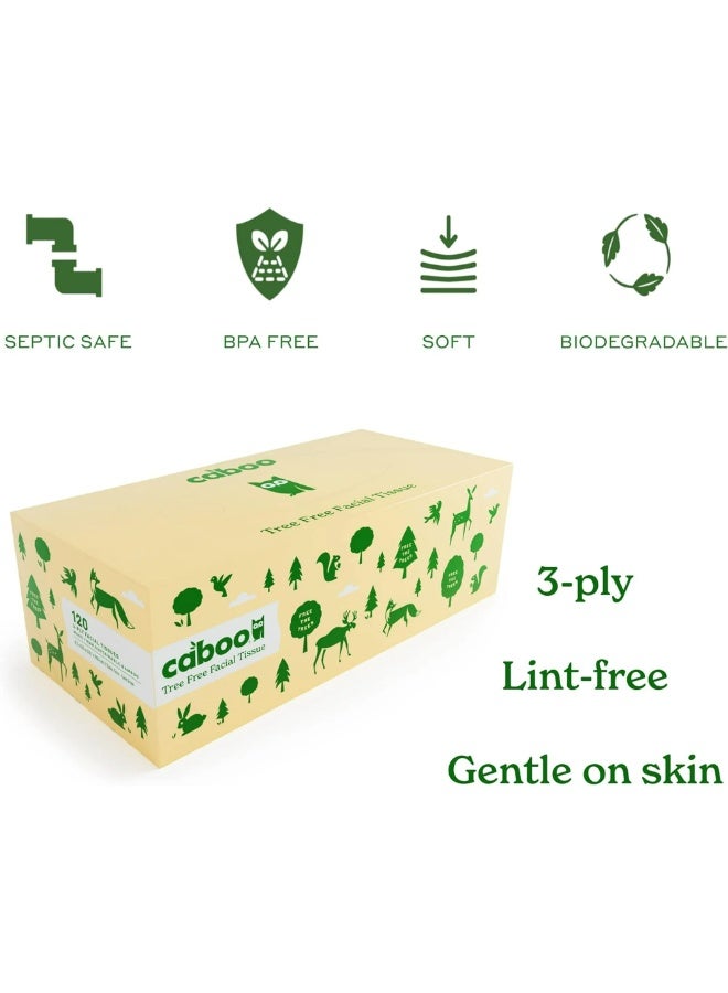 كابو علبة مناديل وجه من الخيزران خالية من الأشجار، مكونة من 3 طبقات، تحتوي على 120 ورقة - Image 4