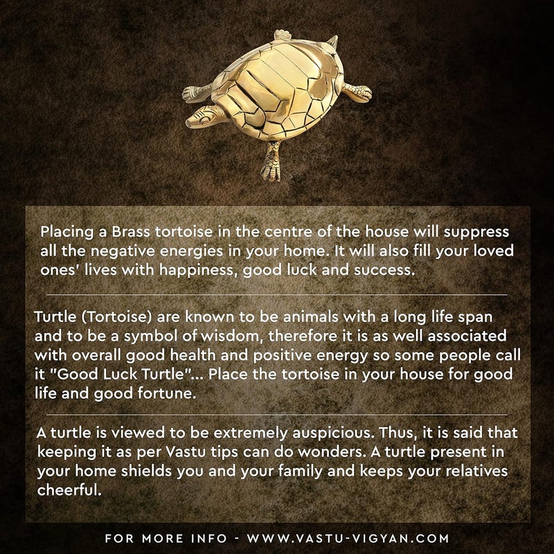 TREE MAISON CORONATING HOMES Brass Vaastu Tortoise Weight 1120 Gram Approx Size 22 x 12 cm Turtle Kachua Feng Shui Maha Vastu Shastra Remedies Home Decor Good Luck Pack of 1 - Image 3