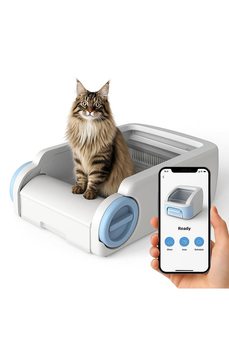 SJMD Open-Top Self Cleaning Cat Litter Box, 65L Low Noise Automatic Cat Litter Box with APP Control, Odor-Free Waste Disposal That Can Use Clumping Cat Litter Compatible with Google & Alexa - Image 1