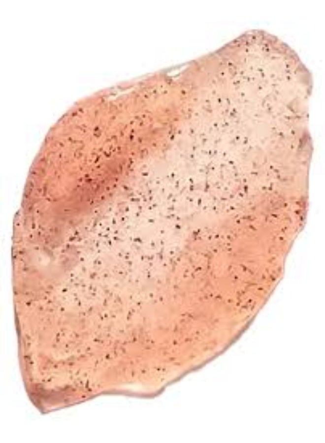 دارلنج مقشر الجسم دارلينج متعدد البيوتيك المرطب والمتوازن 150 مل - Image 2