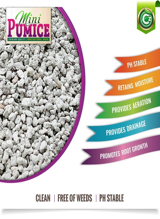 Cz Garden Supply وسط زراعة من حجر الخفاف - صنع في الولايات المتحدة الأمريكية لأشجار البونساي والنباتات العصارية والصبار والأوركيد - مُحسِّن تربة زراعي مُضاف للنباتات الداخلية والخارجية وحدائق الزهور. مُدرج في قائمة OMRI - Image 2