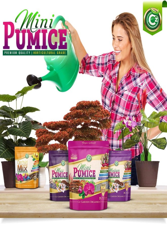 Cz Garden Supply وسط زراعة من حجر الخفاف - صنع في الولايات المتحدة الأمريكية لأشجار البونساي والنباتات العصارية والصبار والأوركيد - مُحسِّن تربة زراعي مُضاف للنباتات الداخلية والخارجية وحدائق الزهور. مُدرج في قائمة OMRI - Image 3