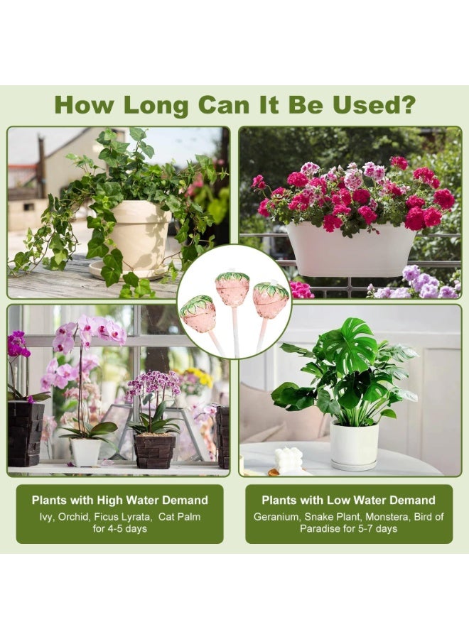 LAMAY 3PCS Strawberry Plant Watering Globes, Self Watering Planter Large Water Globes for Indoor Plants, Top-Fill Watering Bulbs for Indoor Outdoor Plants - Image 5