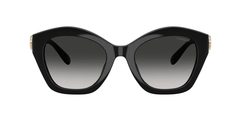 COACH Coach Woman Injected Sunglasses