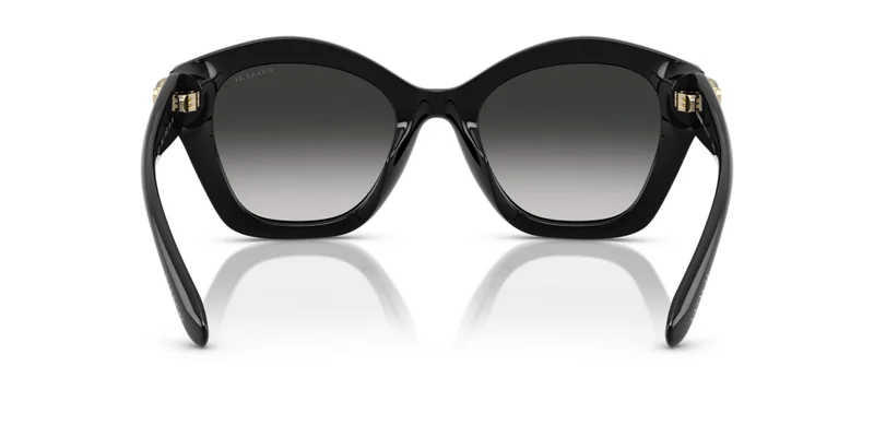 COACH Coach Woman Injected Sunglasses