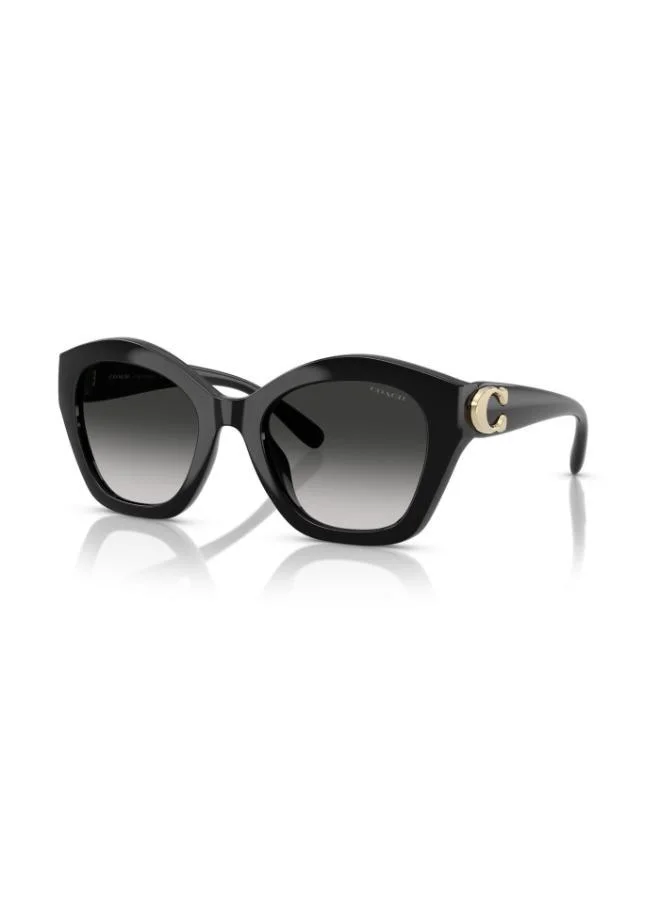COACH Coach Woman Injected Sunglasses