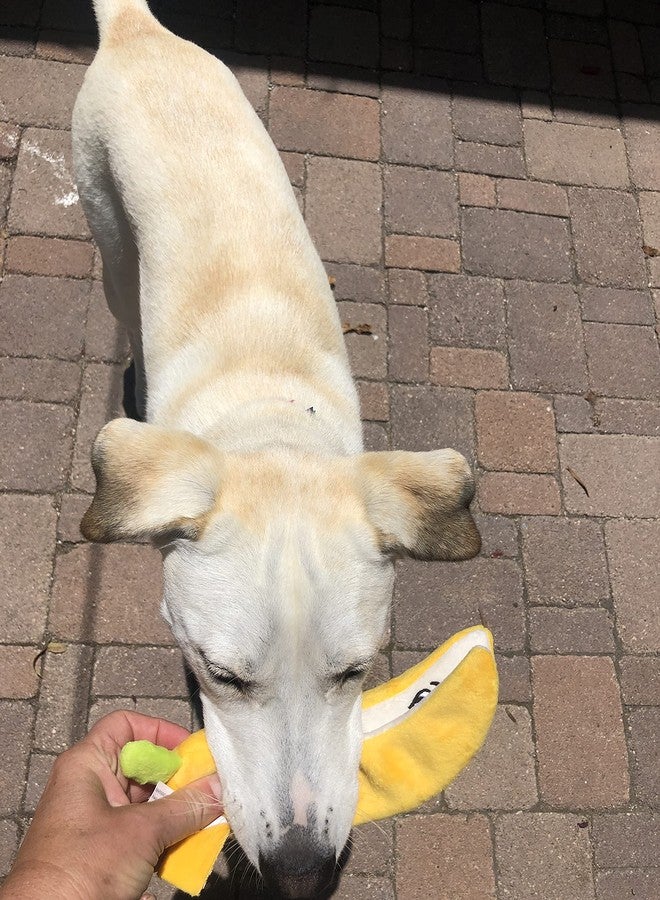 Glow Pups لعبة الموزة المتوهجة للكلاب مع صفارة، لعبة مضغ قطيفة لطيفة للجراء، تساعد على تخفيف القلق والملل، متينة وسهلة التنظيف، 9 بوصات × 2.5 بوصة، تصميم قطيفة مرح، أصفر - Image 4