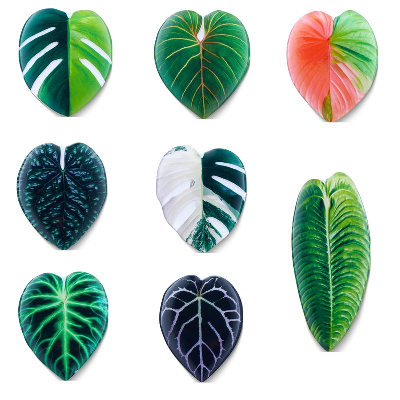 vinsiora Decorative Leaf Shaped Magnets for Home, Set of 8, Living Room, Kitchen, Bedroom Decor (8) - Image 1
