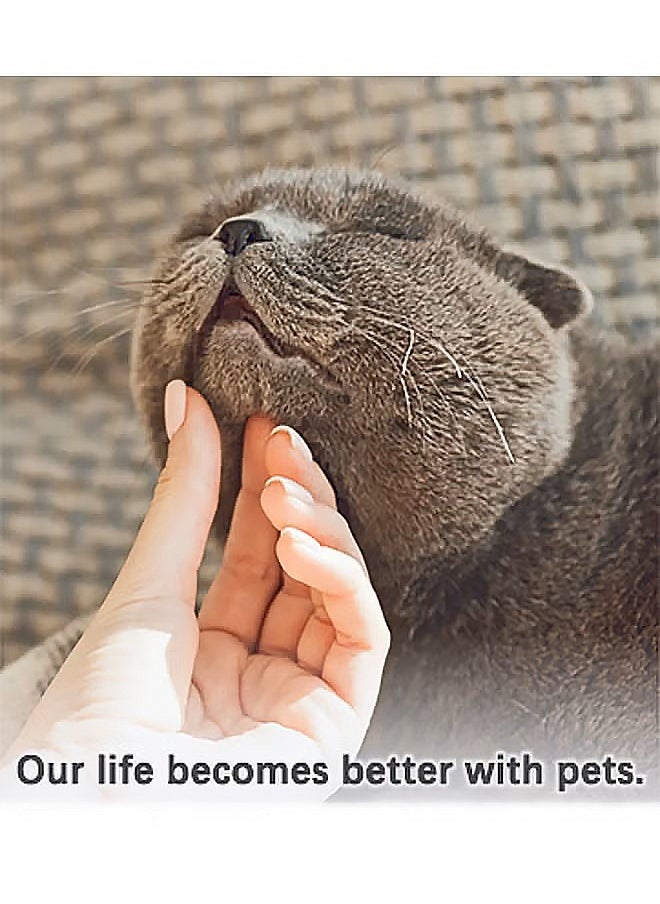 6 Packs Cat Water Fountain Filters for FT200 Filter Element Replacement Activated Carbon Filter for Pet Automatic Drinking Feeder Accessories