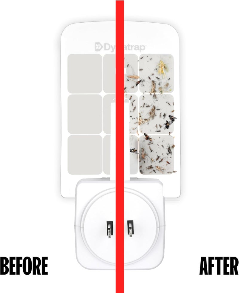 DYNATRAP 23007 Glue Card Refills for Indoor Fly Trap - Models DT3007 and DT3007W - Image 3
