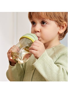 Babycare Babycare - Baby Travel Water Sippy Cup, Forest, BPA-Free, Leak-Proof, Non-Toxic, Portable Sippy Cup, Easy Grip, Safe for Babies, Spill-Proof Design, Travel-Friendly, Ideal for Toddlers and Infants 240 ml  - Image 2