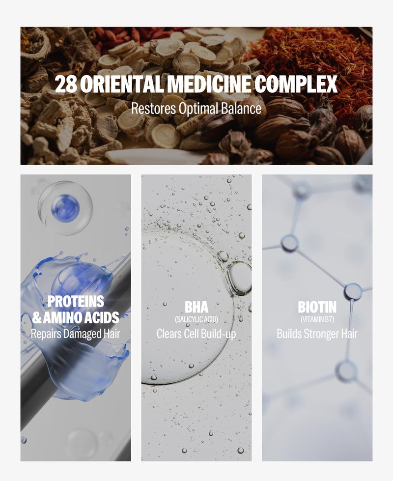 DASHU Revitalizing Protein Shampoo for Dry, Itchy Scalp, Thinning Hair, and Men - 16.9 fl oz - Image 3