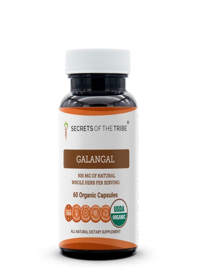 Secrets of the Tribe Galangal 60 Capsules, 1000 mg, USDA Organic Galangal (Alpinia Galangal) Dried Root (60 Capsules) - Image 1