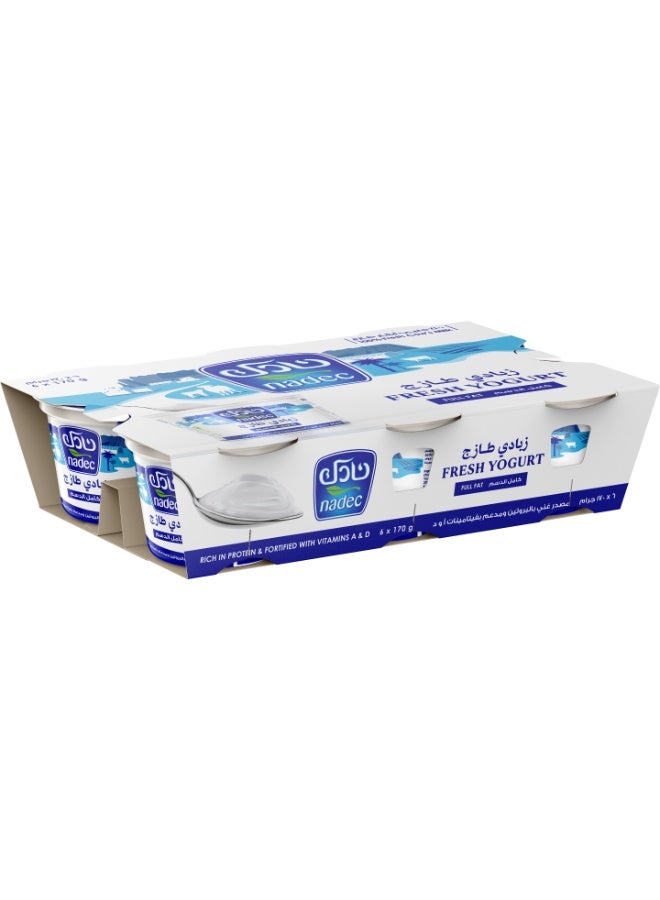 Nadec Full Fat Yoghurt 6x170g
