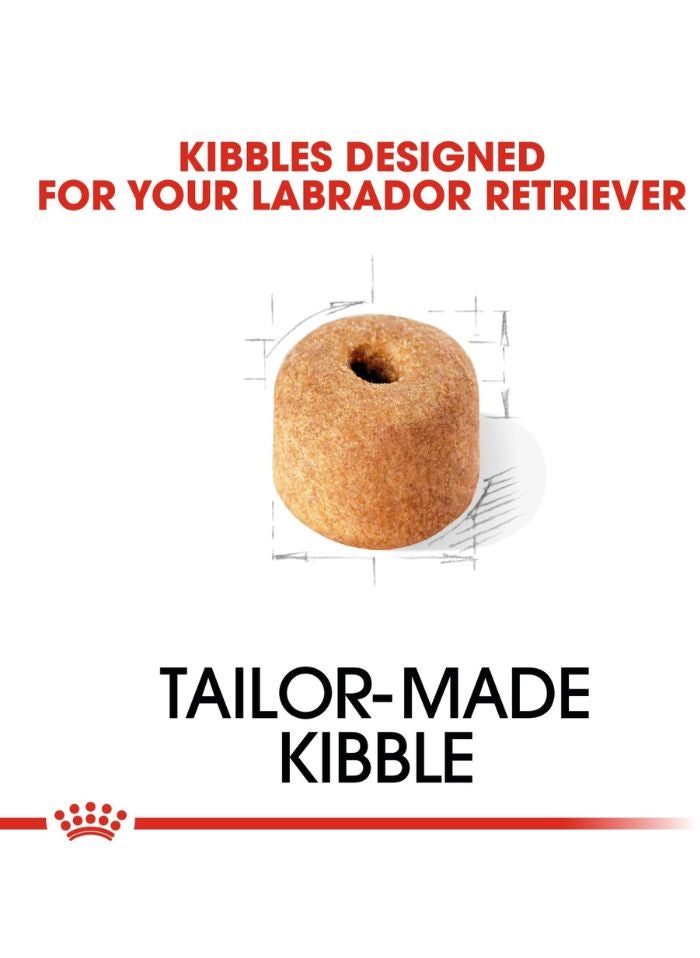 ROYAL CANIN Breed Health Nutrition Labrador Adult 3 KG - Image 2