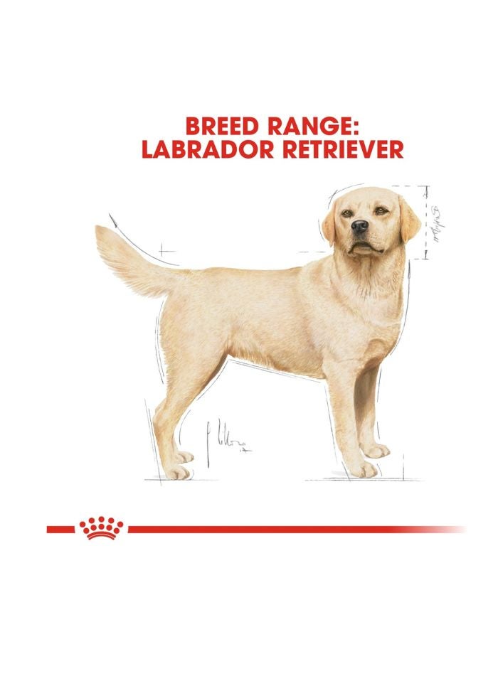 ROYAL CANIN Breed Health Nutrition Labrador Adult 3 KG - Image 4