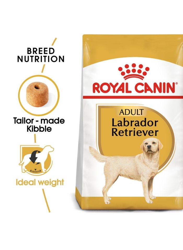 ROYAL CANIN Breed Health Nutrition Labrador Adult 3 KG - Image 1