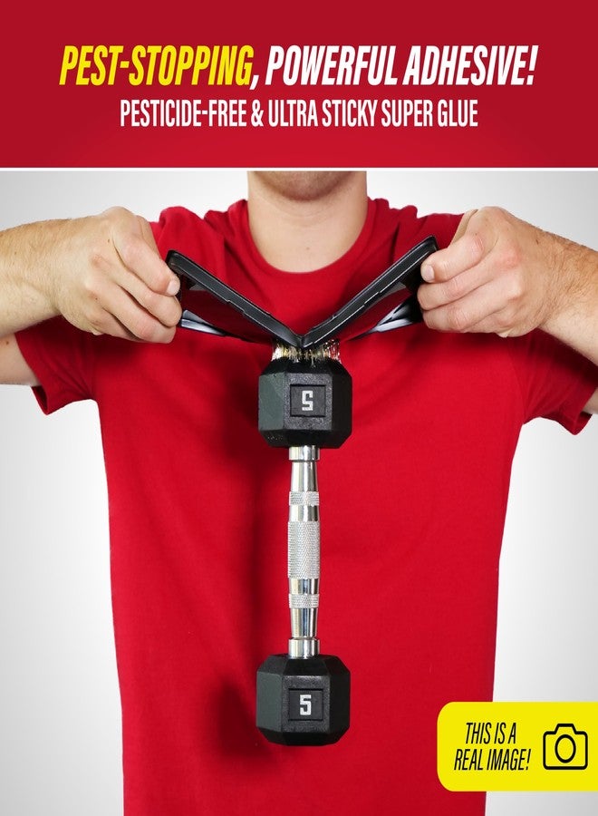 Catchmaster Baited Glue Traps by - 10 Pre-Baited Trays, Ready to Use Indoors. Rat Mouse Snake Exterminator Plastic Sticky Adhesive Easy No-Mess Simple Non-Toxic Disposable - Made in the USA - Image 3