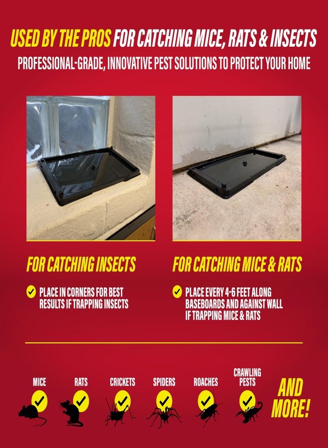 Catchmaster Baited Glue Traps by - 10 Pre-Baited Trays, Ready to Use Indoors. Rat Mouse Snake Exterminator Plastic Sticky Adhesive Easy No-Mess Simple Non-Toxic Disposable - Made in the USA - Image 4