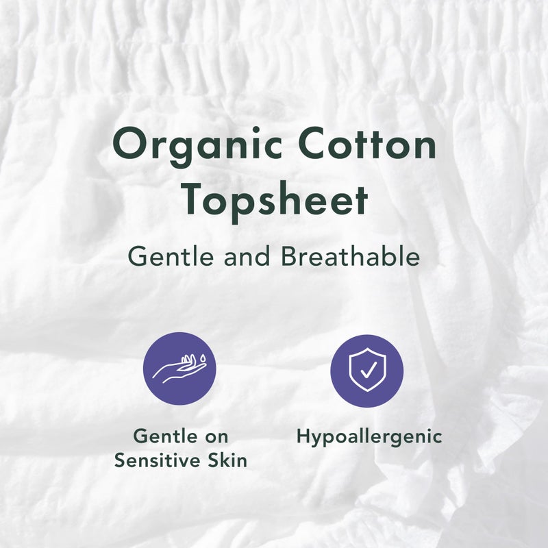 Rael Disposable Underwear for Women, Organic Cotton Cover - Incontinence Pads, Postpartum Essentials, Disposable Underwear, Unscented, Maximum Coverage (Size S-M, 12 Count) - Image 3