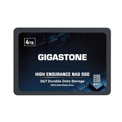 Gigastone 4TB NAS SSD Drive 24/7 Durable High Endurance RAID Data Storage Network Attached Storage 2.5" SATA Internal Solid State Hard Drives - Image 1