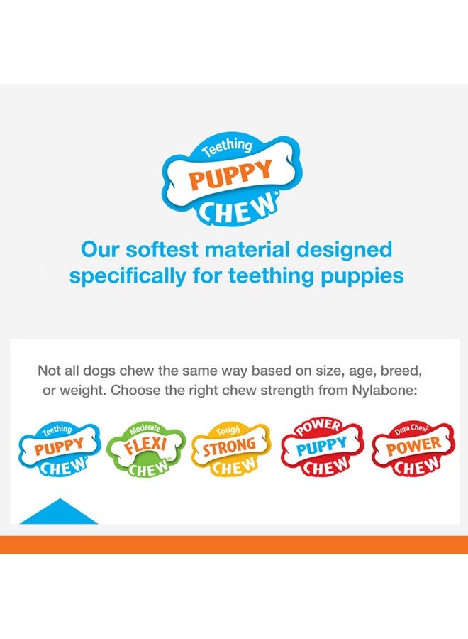 نيلابون لعبة مضغ قوية للجراء من نايلابون كومفورت هولد إكس-بون، ألعاب للكلاب للمضغ العدواني، بنكهة لحم البقر، مقاس صغير جدًا - حتى 15 رطلاً، عدد 1 - Image 3