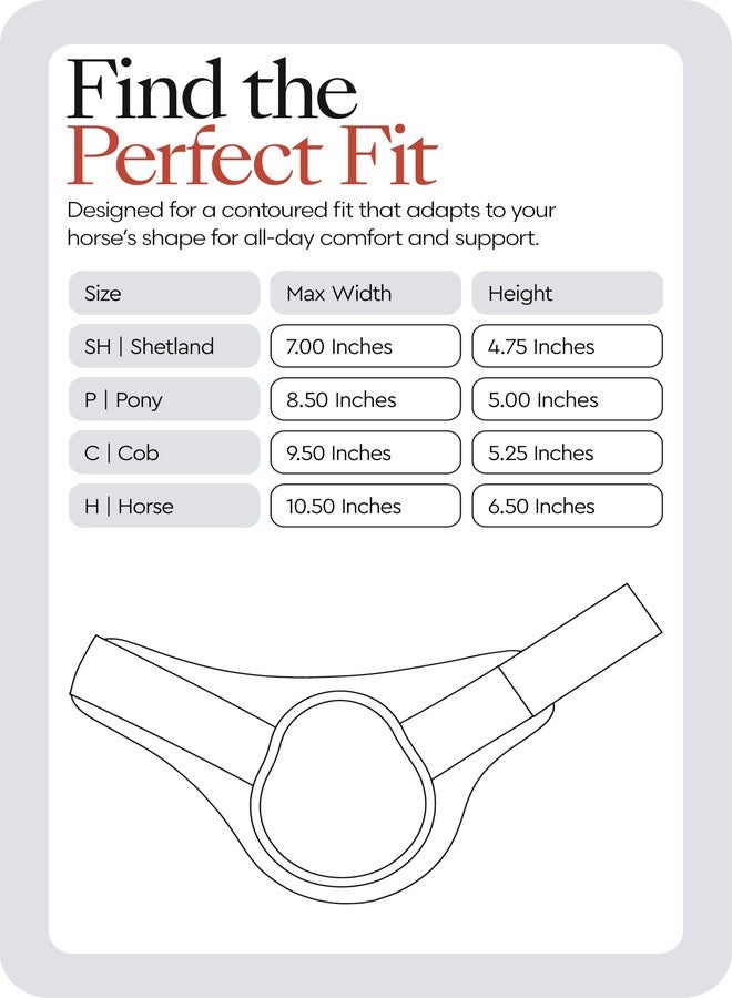 HORZE Chicago Rear Fetlock Boots for Horses, Horse Tendon Boots - Image 3