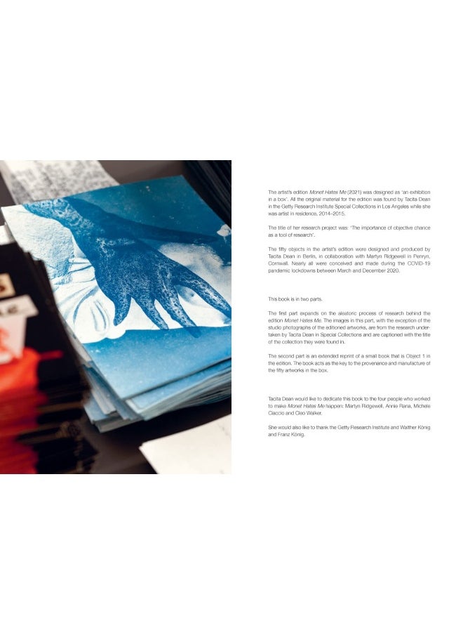Tacita Dean: Monet Hates Me  - Image 2
